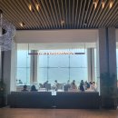 소노펠리체 델피노 이미지