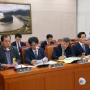 김수의과 동물병원 이미지