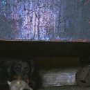 폼잡는개 이미지