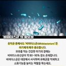 대신석유(주) 화장실 | 솔가 엽산 800 후기