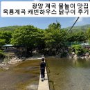 광양 계곡 물놀이 맛집｜옥룡계곡 캐빈하우스 닭구이 후기