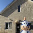 호돌이목장 | 산정호수 근처 카페 추천, 사르르목장 카이막 치즈 세트 내돈내산 후기｜산정호수 썰매축제 올해는?