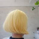 도안남로 이미지