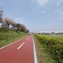 라이또PC 양평본점 | [대전여행] 대전로컬맛집 힐링코스 여자혼자 1박2일 뚜벅이여행 (서구, 유성구)