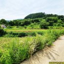 북단양농협적성지소 이미지