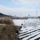 곡성-163 이미지