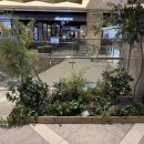 조경당 | 대구조경 현대아울렛 실내조경 시공후기