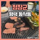 정장군 소사벌점 | 평택 소사벌 돼지고기구이는 정장군이 맛집이네! 돼지고기 특수부위 전문(영업시간, 메뉴추천, 리얼후기)