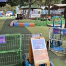 대구애견파크농장 이미지