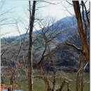 묵은저수지 이미지