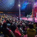 사천세계문화콘텐츠 상설공연장 | 하동시니어클럽, 노인일자리 어르신과 함께하는 문화 활동 추진