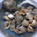 고흥상회 이미지