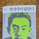 십일남매 이미지