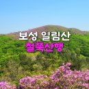 5월9일(목)전남 보성 일림산(667m)철쭉축제 산행 예약 이미지