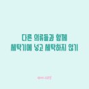 수영세탁 이미지