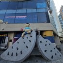 영무파라드호텔 | [부산여행] 해운대가성비호텔 영무파라드호텔 반려견동반객실 조식후기 부산숙소