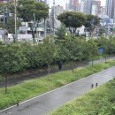주)서안성아이웨딩컨벤션 | 9월 셋째주 이것저것