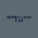 대한광통신(주)