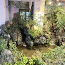 돈풍김치삼겹살 | 부산시청고기 부산시청단체모임 돈풍각에서 돼지고기 먹고 왔어요!