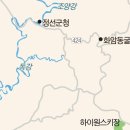두메떡방앗간 | 이달의 맛 여행 <6월> 강원도 정선 수리취떡