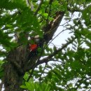 딱따구리치과의원 이미지