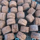 칠성로-4 이미지