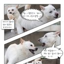 수니 이미지