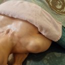 스킨케어 퀸 이미지