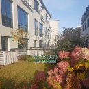 우주타운 이미지