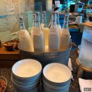 [부산여행] 부산 해운대 파크 하얏트 호텔 스탠다드킹 시티뷰 + 수영장 + 조식 + 피트니스센터 후기
