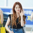 새롬