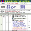 주식회사 다솜여행사