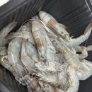식화 이미지