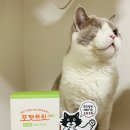 닥터와프 네이버블로그