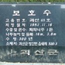 07820괴산군청안면문화재 이미지