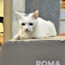 오죽경로당 이미지