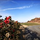 여수아일랜드 골프&리조트 골프장 이미지