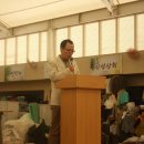 강진시장 이미지