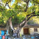 소율마을 이미지