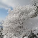 2012.2.05일 덕유산 예약마감/심설산행 무주리조트 - 곤돌라-설천봉 - 향적봉 - 중봉 - 송계삼거리 _칠연폭포삼거리 - 안성매표소약4시간산행 이미지