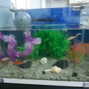 간석지역아동센터 이미지