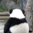 뚜 Daum카페