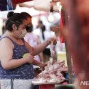 월드축산 뉴스비전e