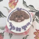 일산 슈퍼멍멍 이미지