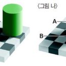 [김대식의 '브레인 스토리'] [4] 편견 가득한 거짓말쟁이, 뇌 이미지