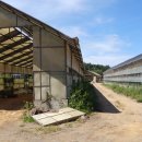 통일농장 이미지