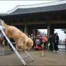 달성공원관리사무소 이미지