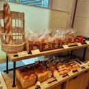 뚜레쥬르영등포시장역점 | [영등포]영등포맛집 영등포점심추천 영등포샌드위치 "뚜레쥬르 통밀 후레쉬샌드위치"