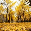 호텔도시여행 이미지