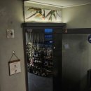 THE美 | [강남/역삼 와인 포레스트] 분위기 美친 데이트 치트키 '역삼 와인 포레스트' 후기 🍷✨ (가격/메뉴 추천)